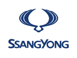 ПЕРЕХОДНЫЕ РАМКИ ДЛЯ ЛИНЗ ДЛЯ АВТОМОБИЛЕЙ SSANG YONG