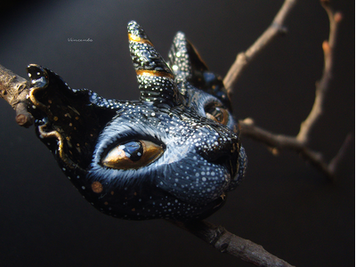 "Зверёк с восхода", волшебная брошь с котом-единорогом