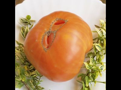 Томат Персики и крем (Peaches and Cream)