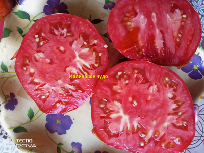 Томат Малиновое чудо