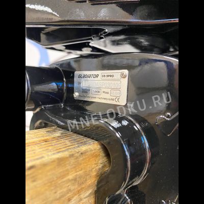 Лодочный мотор GLADIATOR G9.9PRO FES USB