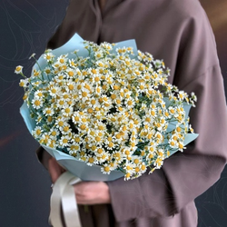 Классический букет из 15 белых кустовых ромашек