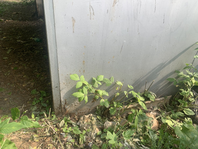 Железный гараж (на вывоз)