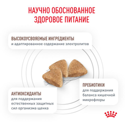 Royal Canin (Роял Канин) Gastrointestinal Puppy сухой корм для щенков при расстройствах пищеварения, 1 кг