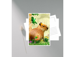 Открытки Капибара, Kapibara-san