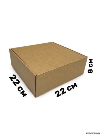 Коробка картонная 22 x 22 x 8 см