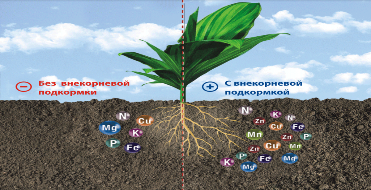 Соединение минеральных удобрений. Удобрения для растений. Минералы для растений. Удобрение почвы. Минеральные удобрения для почвы.