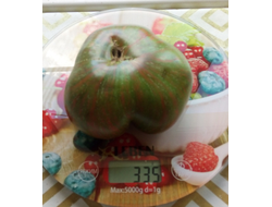 Томат Кровавая Луна (Blood Moon, США)