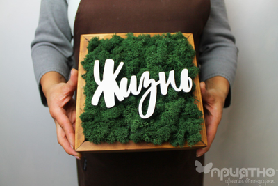 ЖИВАЯ ЭКО-КАРТИНА 1059