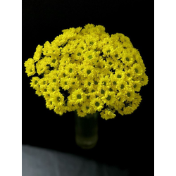 Сантини 25 шт