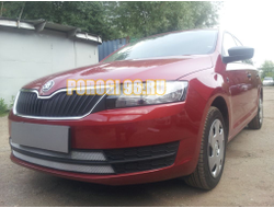 Защита радиатора Skoda Rapid 2013-2017 (2 части) chrome