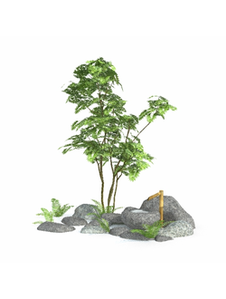 клумбы Альпинарий Tsuboniwa