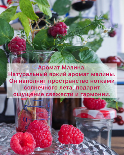 АРОМАТИЧЕСКИЙ ДИФФУЗОР ДЛЯ ДОМА "МАЛИНА" 50 МЛ