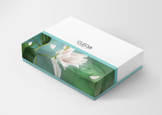 Постельное белье Cleo евро жаккард 200х220+6.5х1 220х240х1 50х70х2+6.5см 70х70х2 31/023-SC