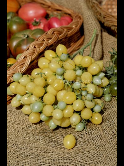 Томат Сумасшедшие Вишни Барри  (Barry's Crazy Cherry), 10 шт