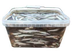 Хамса с/с (ведро) 5кг