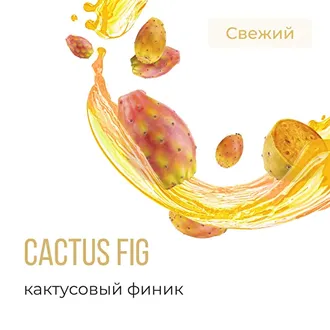 ELEMENT (ВОЗДУХ) 25 г. - CACTUS FIG (КАКТУСОВЫЙ ФИНИК)