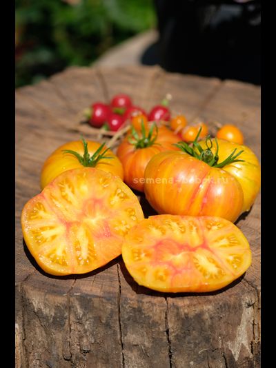 Томат За Рулём (Behind the Wheel), 10 шт