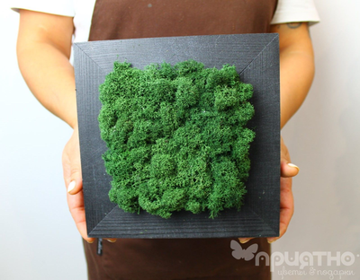 ЖИВАЯ ЭКО-КАРТИНА 1066