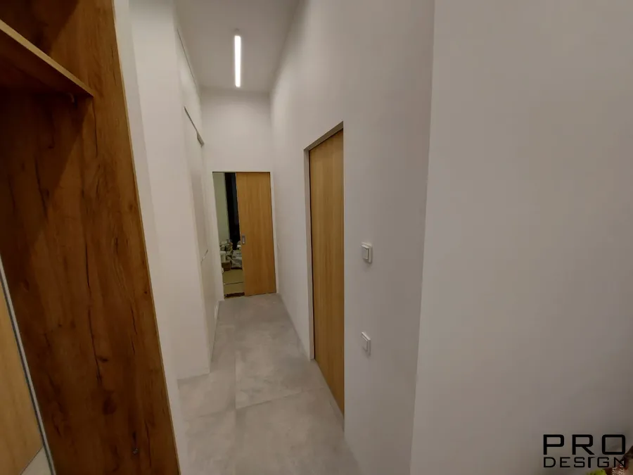 Раздвижные двери 10