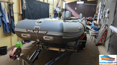 Тент на лодку Polar Bird модель PB-420E 2020 г.  пол-стеклокомпозит