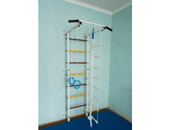 ШВЕДСКАЯ СТЕНКА+ТУРНИК (НЕСЪЁМНЫЙ)+КАНАТ, КОЛЬЦА, ЛЕСТНИЦА+МАТ 1*1 (ДЕТСКАЯ)