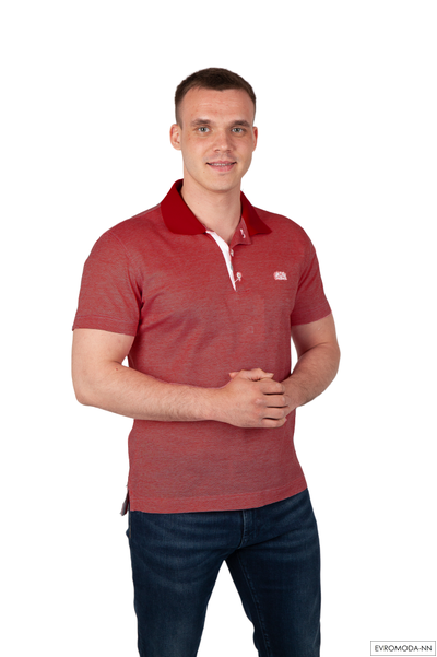 Поло мужское Пило-F13