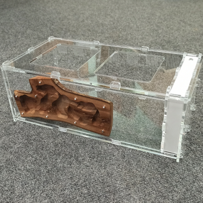 Муравьиная ферма 4ants с гнездом из дерева ценных пород