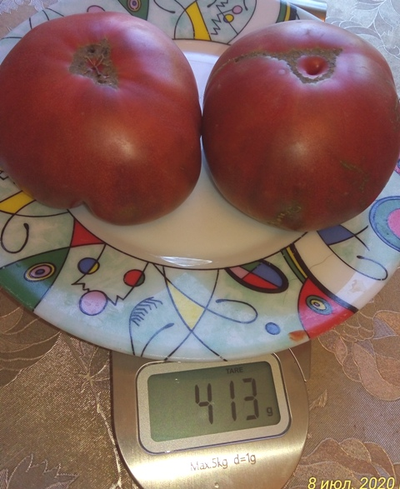 Томат Пурпурная страсть (Purple Passion)