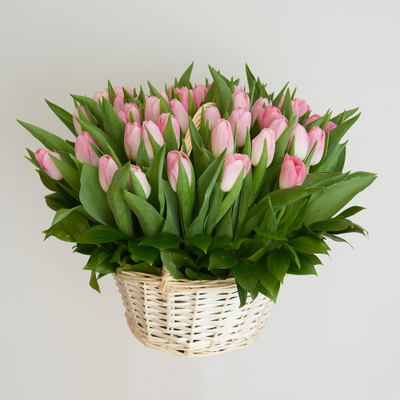 51 тюльпан в корзине