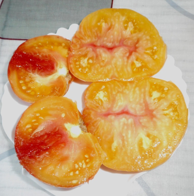 Томат Загадка природы