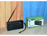 Ritmix RPR-155