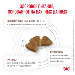 Royal Canin (Роял Канин) Gastrointestinal Сухой корм для взрослых кошек при заболеваниях ЖКТ, 2 кг