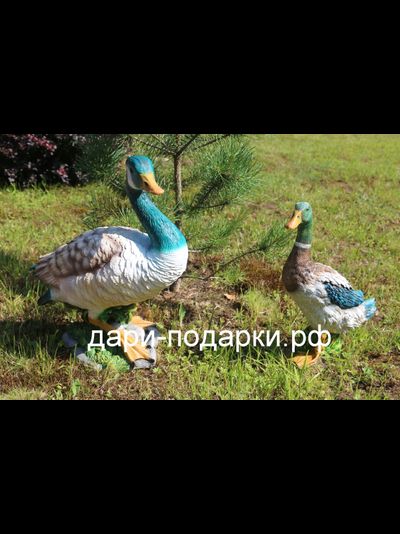 Селезень - красавец 40*28см полистоун Россия 1675/012564*