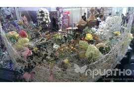 XXIII Международна выставка цветов, растений, оборудования и материалов для декоративного садоводства и цветочного бизнеса «ЦВЕТЫ/FLOWERS-2016»