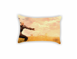 Подушки Witcher, Ведьмак №8