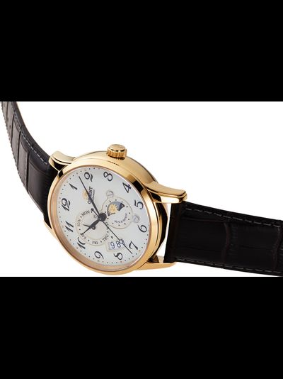 Мужские часы Orient RA-AK0002S