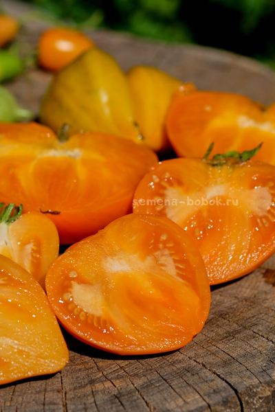 Томат Золотые Огни Алатау, 10 шт