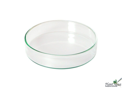 SwetAqua Shrimp Feeding - Кормушка для креветок стеклянная 60мм