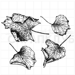 Штамп пожухлые листья