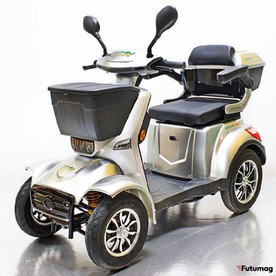 Трайк GreenCamel Пони 4K (48V 500W 36 км/ч) серебристый