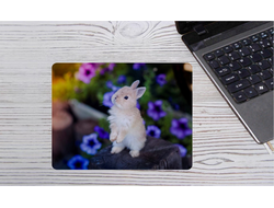 Коврик для мыши горизонтальный год Кролика №23