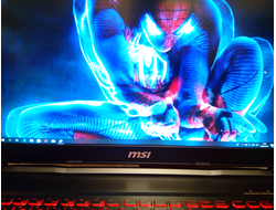 MSI GL73 8RE-694RU ( 17.3 FHD i7-8750H GTX1060(6Gb) 16Gb 1Tb + 128SSD )