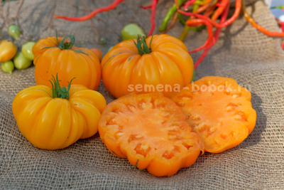 Томат Oro Giant (ОРО Гигант), 10 шт