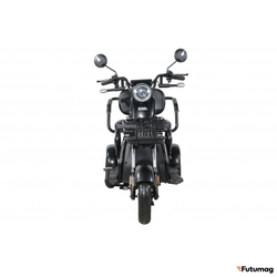 Пассажирский трицикл WHITE SIBERIA SIBTRIKE 2000W