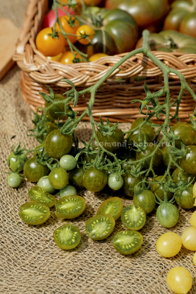 Томат Sister keyes (Систер Киз), 10 шт