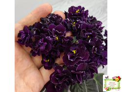 Mac's Black Uhuru (G. McDonald)