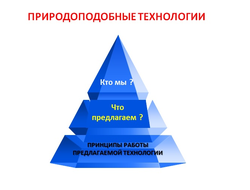 ПРЕЗЕНТАЦИЯ И ПРИМЕРЫ ПРИРОДОПОДОБНЫХ ТЕХНОЛОГИЙ (разъяснения и консультации)