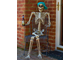 скелет человека, скелетик, хэлоуин, праздник, ужас, страх, прикол, череп, кости, skeleton, skull