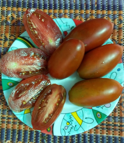 Томат Сосулька черная